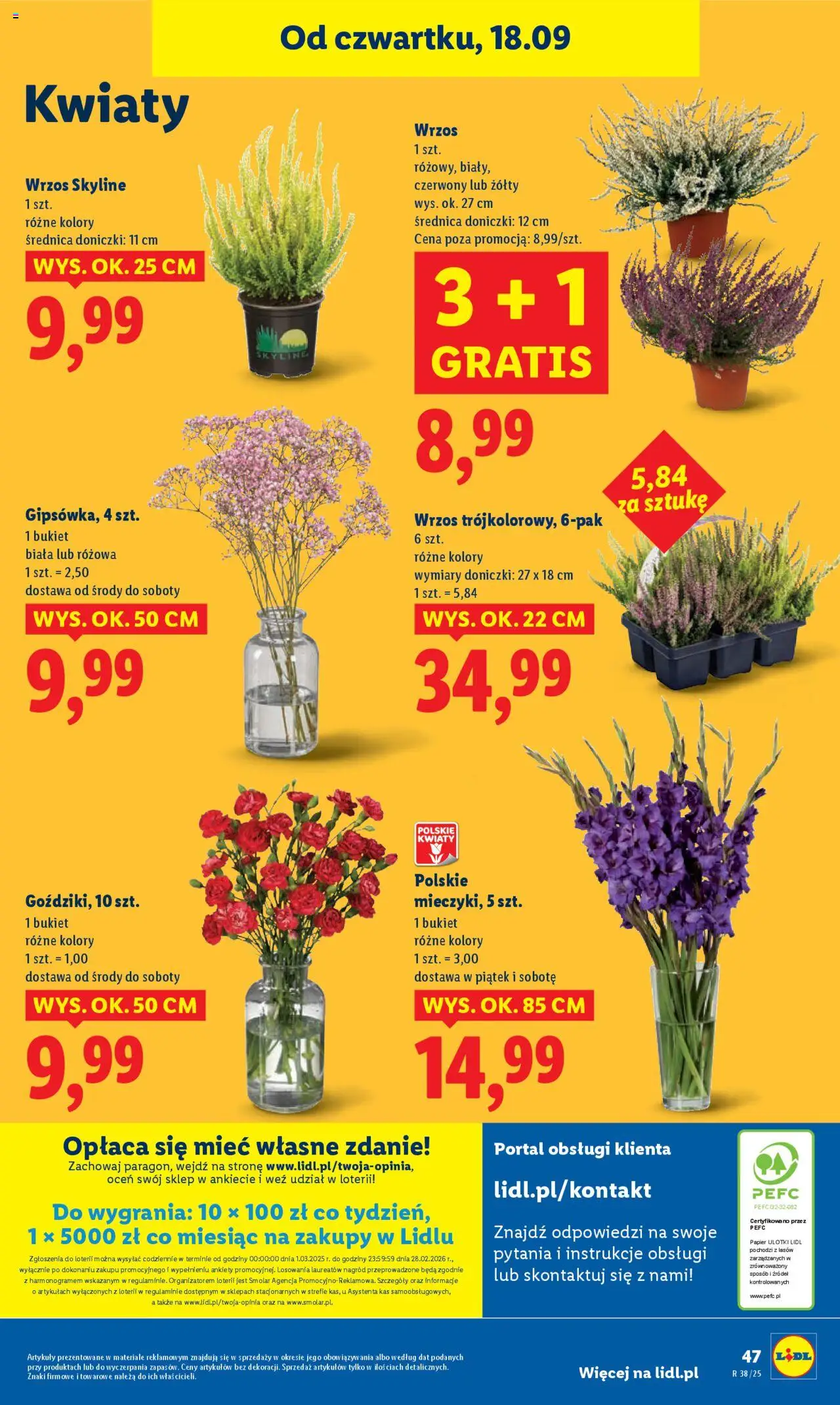 Lidl Gazetka od 18.09.2025 | Strona: 55