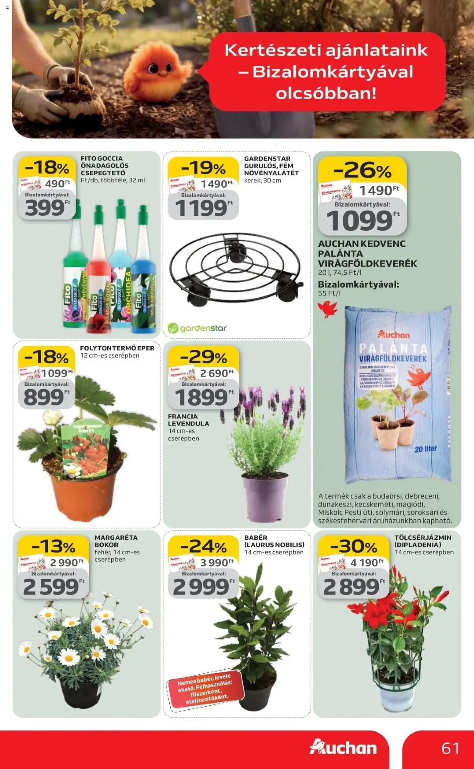 Auchan akciós ujság - amely érvényes a következő dátumtól: 19.03.2026 | Oldal: 61 | Termékek: Orchidea, Eper, Levendula