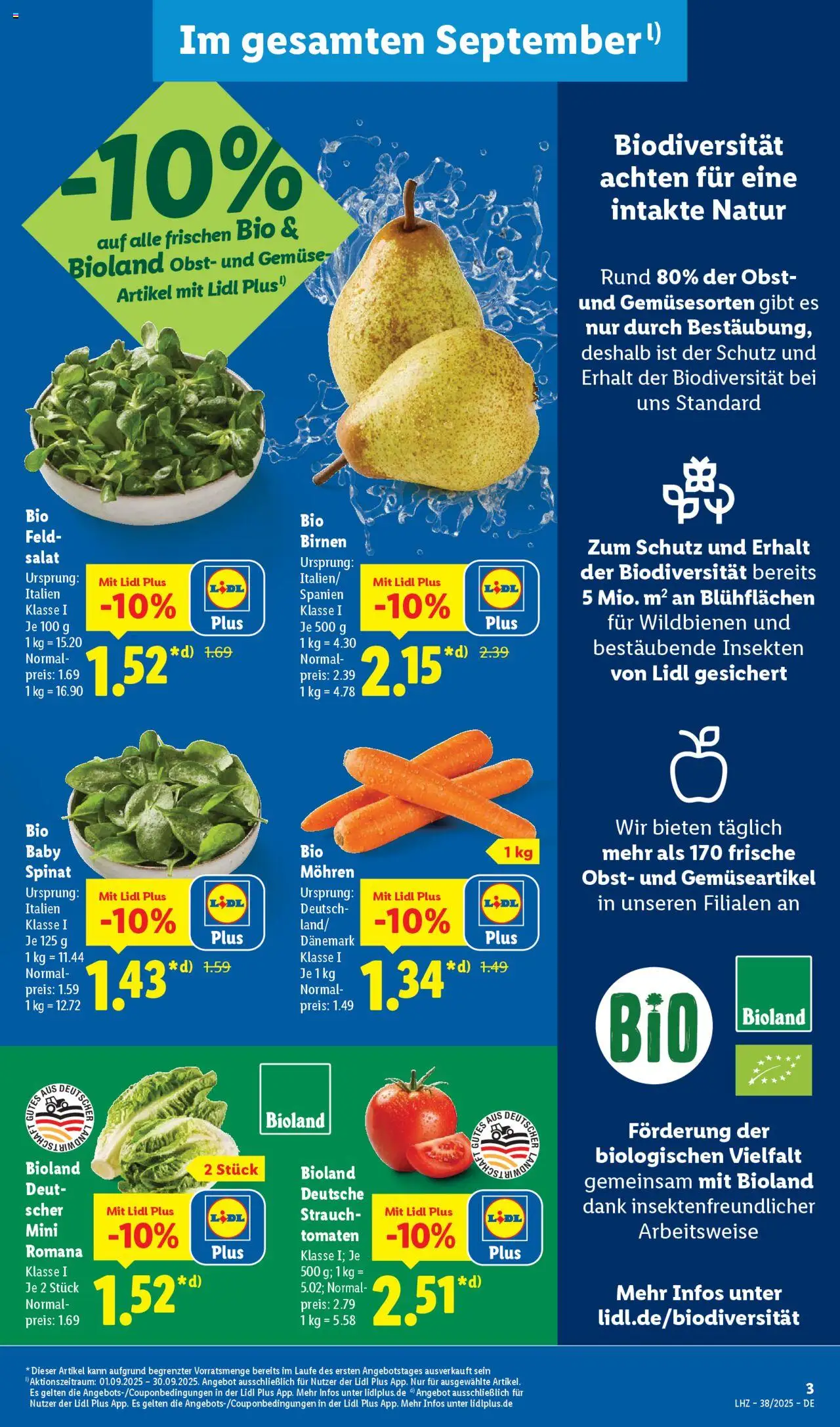Lidl Prospekt 	 – gültig ab 15.09.2025 | Seite: 3 | Produkte: Tomaten, Mohren, Obst, Salat