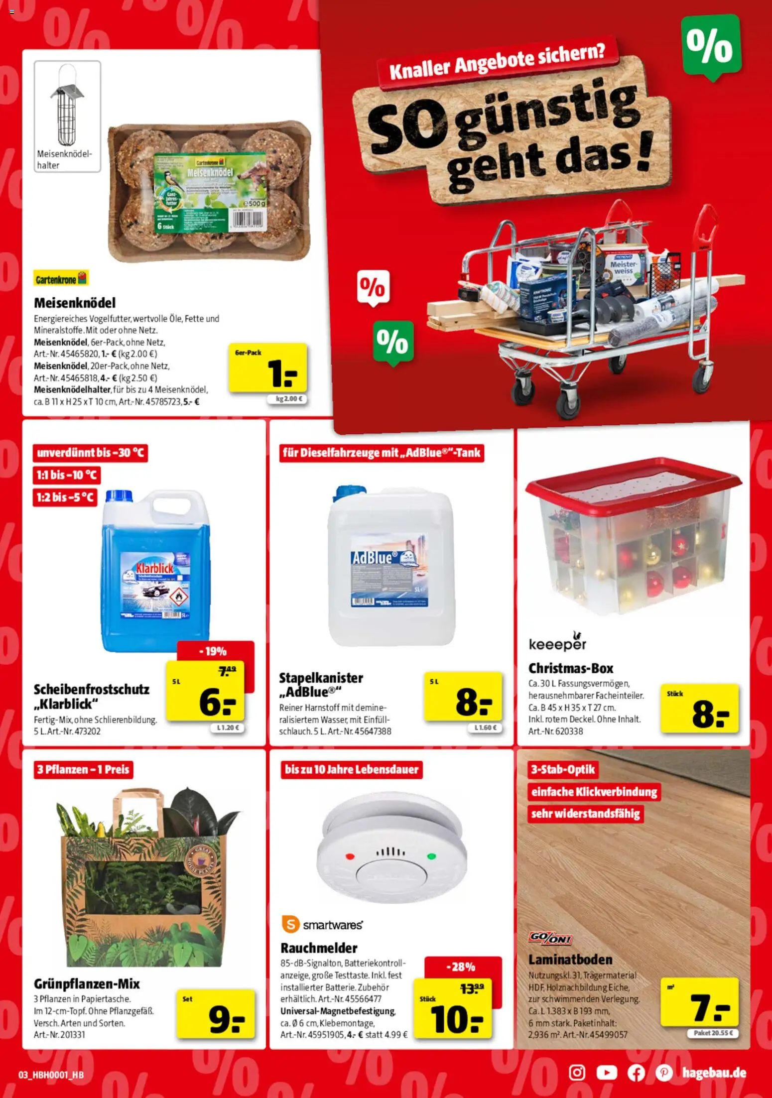 Hagebau Prospekt 	 – gültig ab 03.01.2026 | Seite: 3