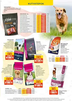 AlphaZoo akciós újság - amely érvényes a következő dátumtól: 12.03.2026 | Oldal: 7 | Termékek: PC