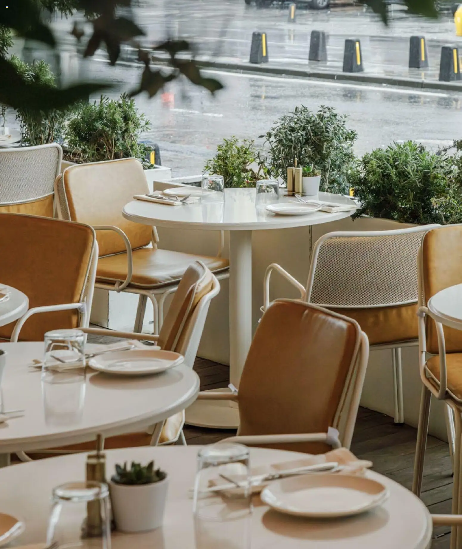 Mudo - Katalog  Ağaç 2026 - 01.01.2026 tarihinden itibaren geçerlidir | Sayfa: 24