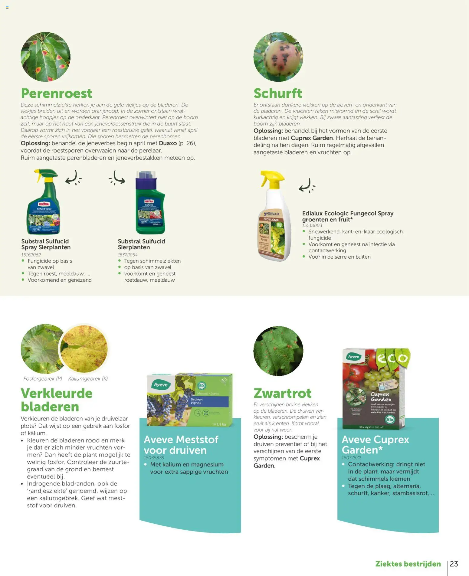 {H1} | Pagina: 23 | Producten: Groenten, Druiven