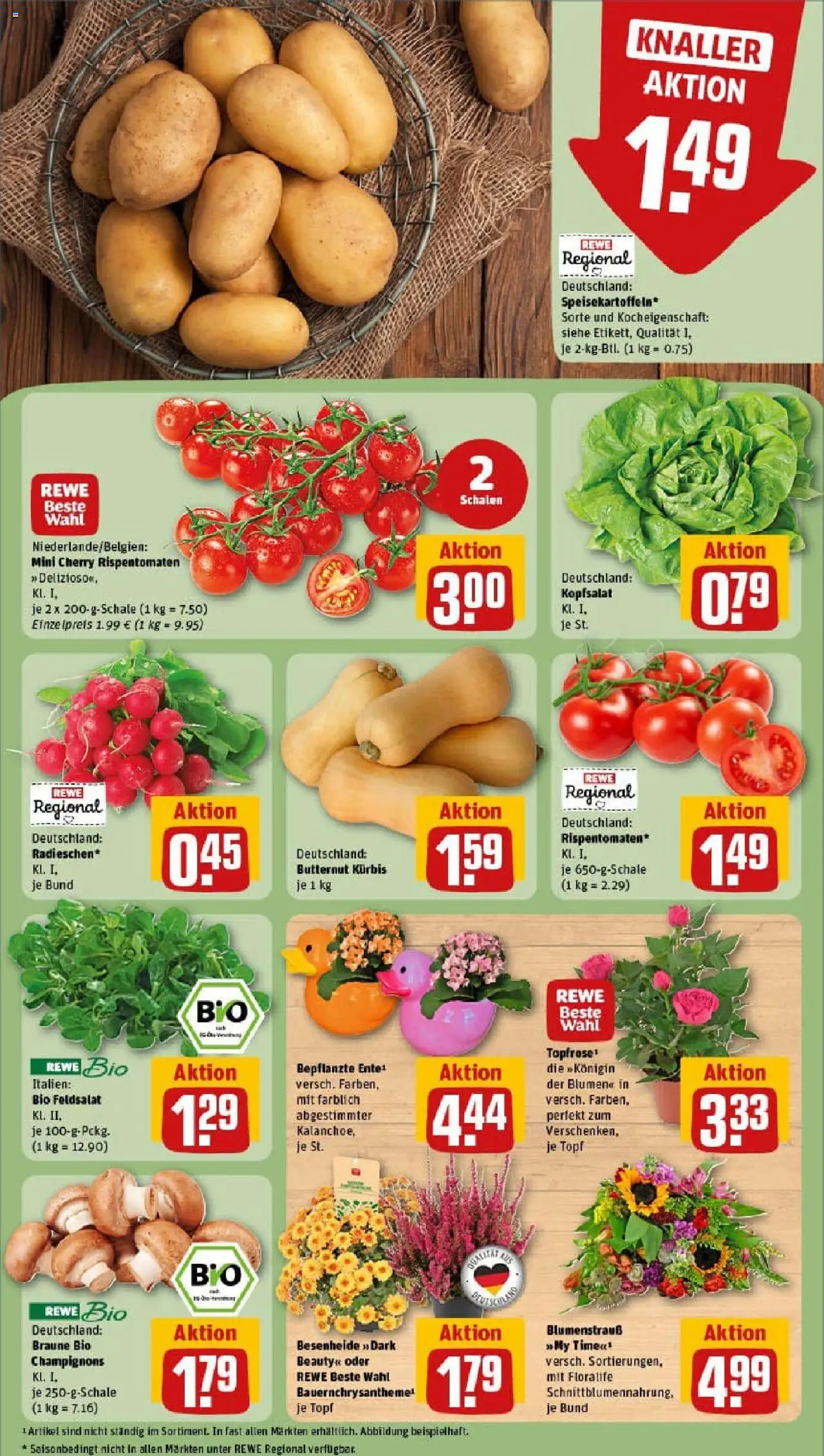 Rewe prospekt Pattensen	 – gültig ab 01.09.2025 | Seite: 9 | Produkte: Blumen, Champignons, Kürbis