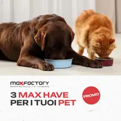 Anteprima del volantino Max Factory volantino valido a partire dal 03.03.2026
