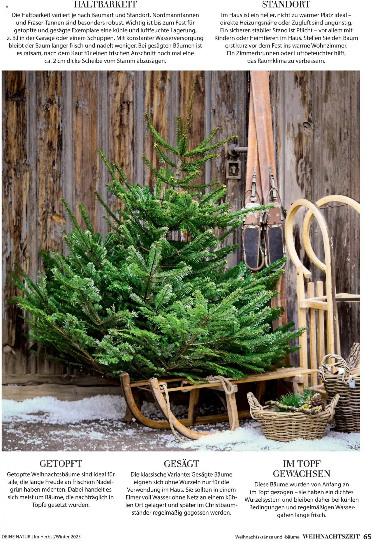 Dehner Prospekt Deine Natur – gültig ab 09.10.2025 | Seite: 65 | Produkte: Wasser