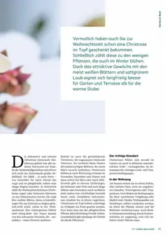 Lagerhaus Fürs Leben am Land ab 01.11.2025 gültig | Seite: 13