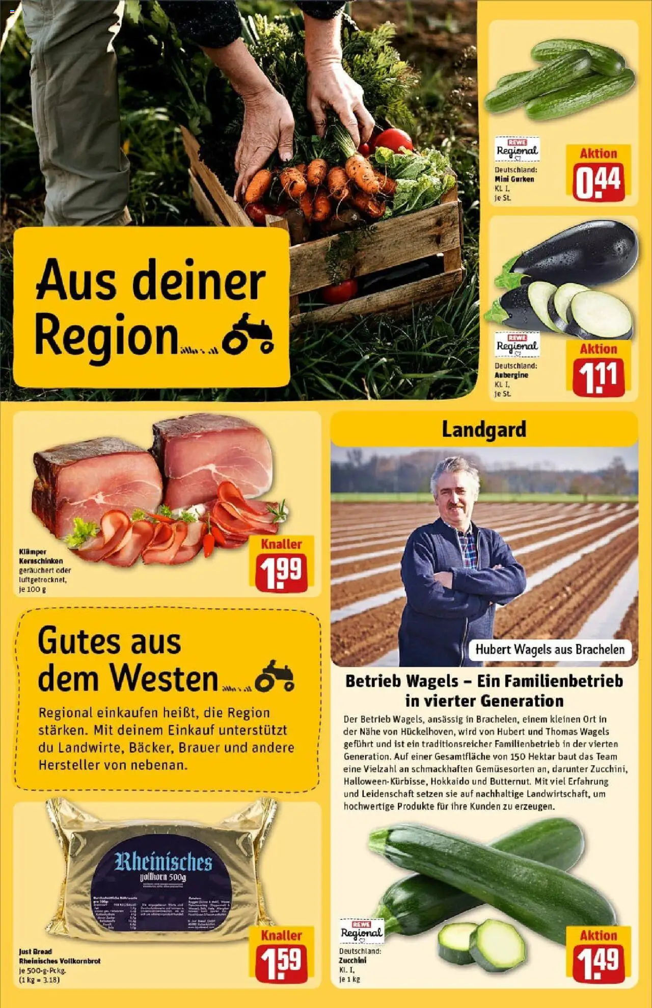 Rewe prospekt Euskirchen	 - gültig ab dem 27.07.2025 | Seite: 26 | Produkte: Vollkornbrot, Aubergine, Zucchini, Gurken