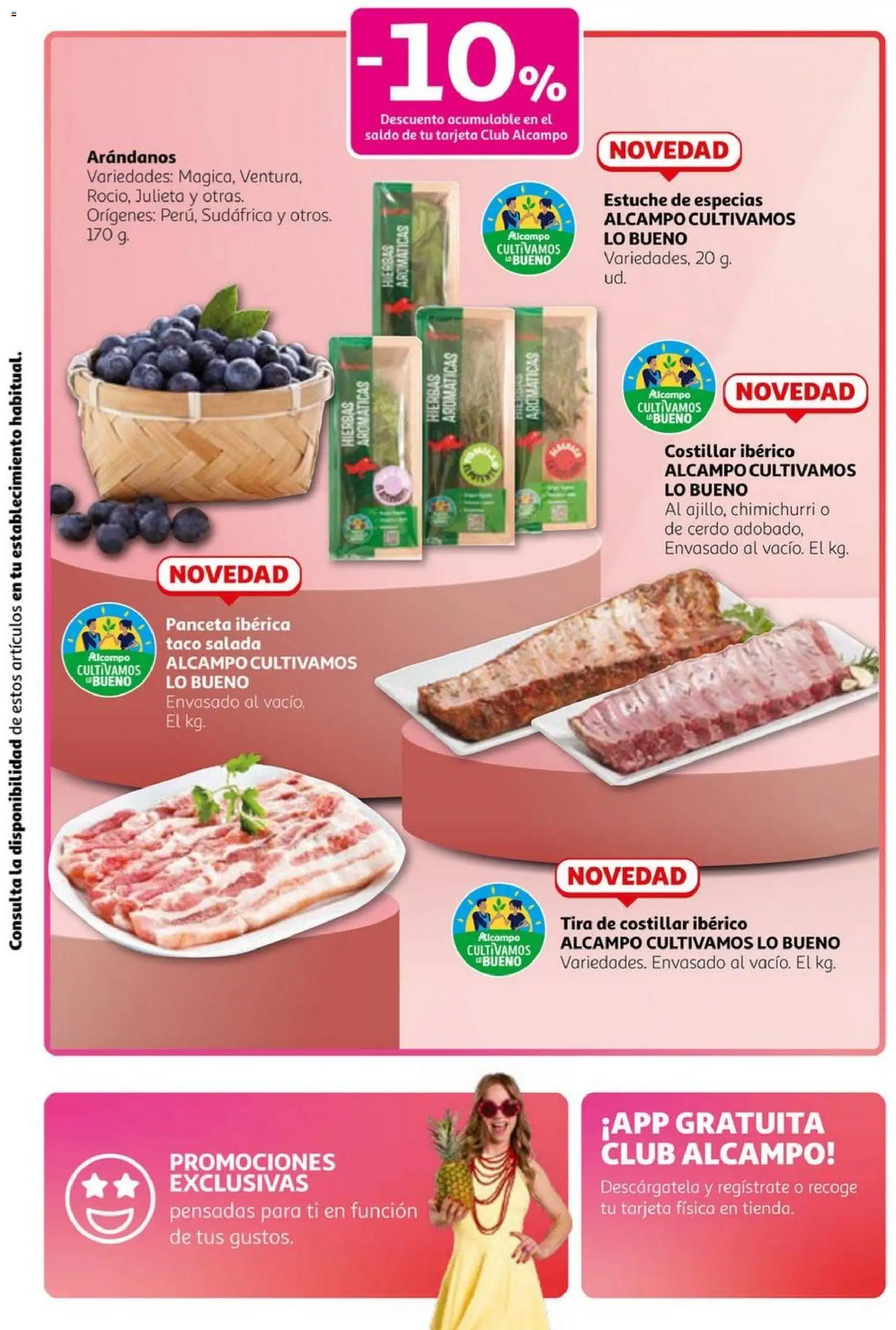 Alcampo - Club Nacional  │ válido desde el 23.10.2025 | Página: 6 | Productos: Ηλεκτρικός φούρνος, Cerdo
