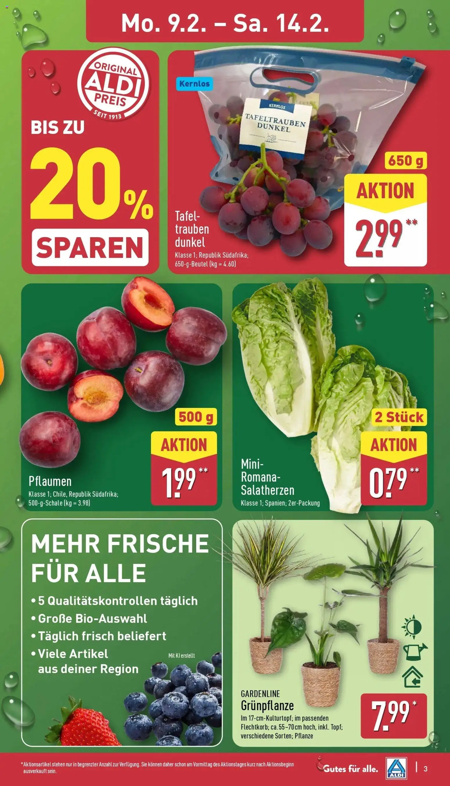 Aldi - ALDI Nord: Wochenangebote – gültig ab 08.02.2026 | Seite: 3