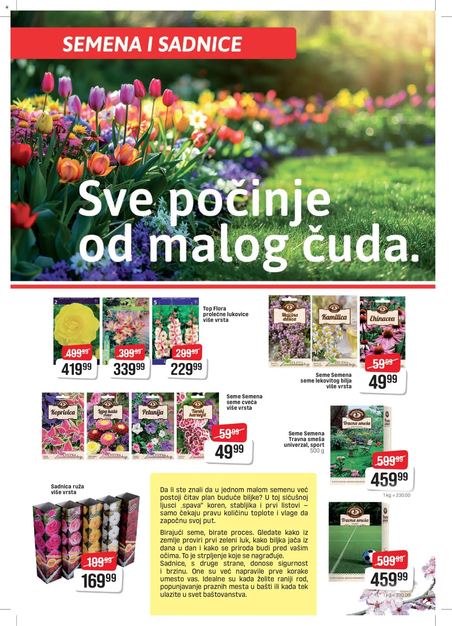 Super DIS katalog - važi od 06.03.2026 | Strana: 2