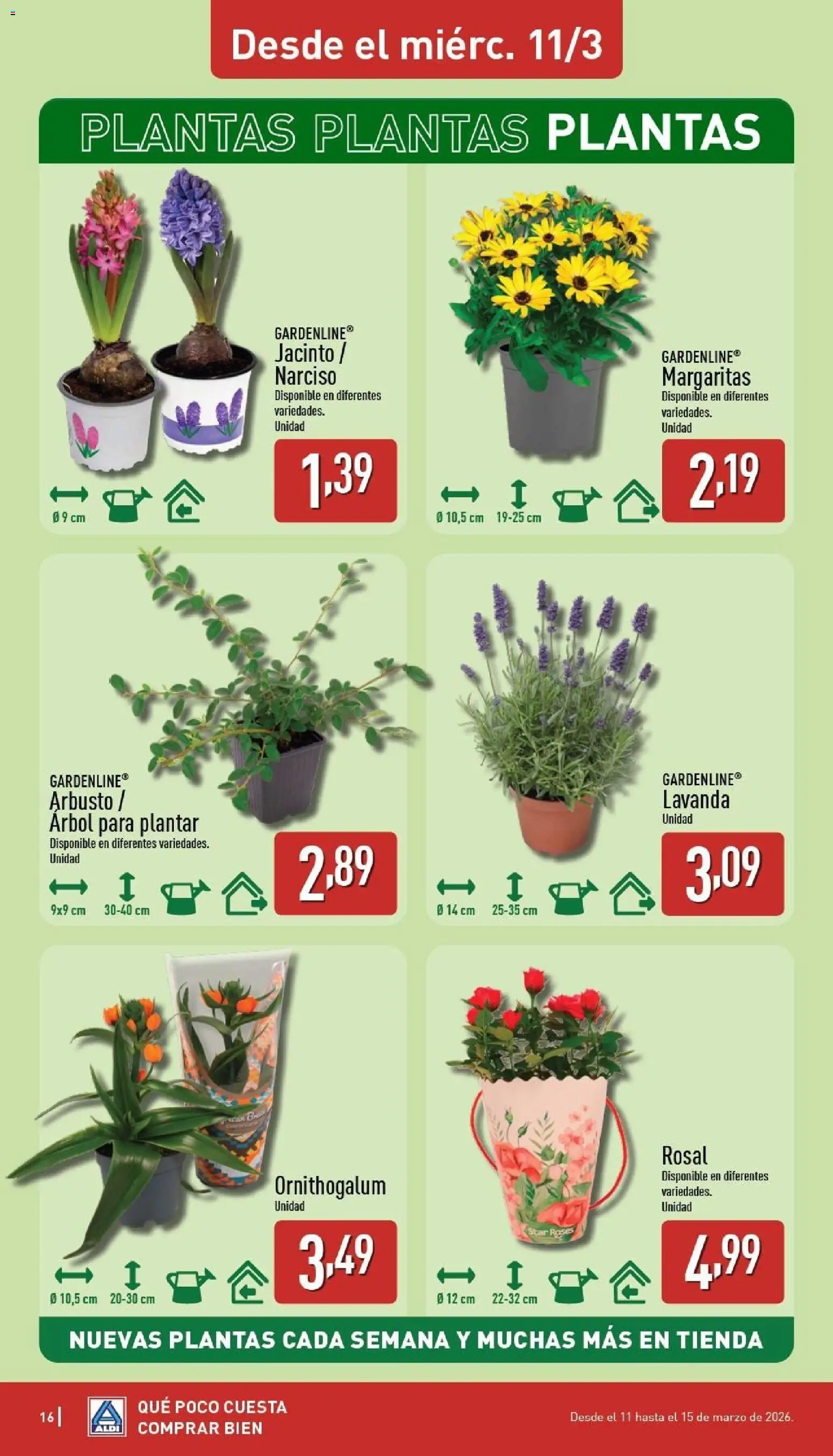 Aldi folleto Baleares │ válido desde el 09.03.2026 | Página: 16