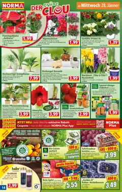 Norma Flugblatt ab 26.01.2026 gültig | Seite: 14