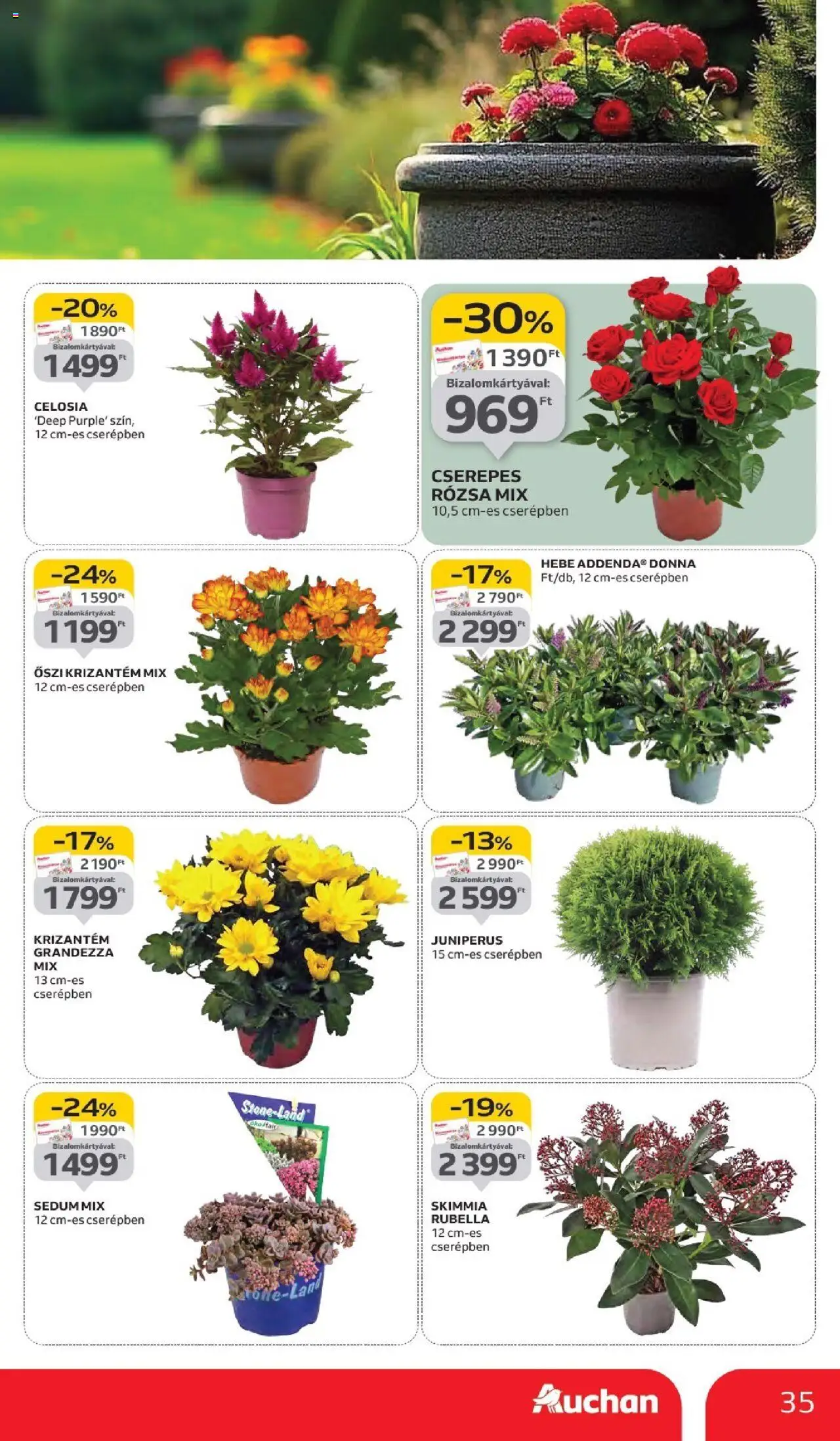 Auchan akciós ujság - amely érvényes a következő dátumtól: 11.09.2025 | Oldal: 35