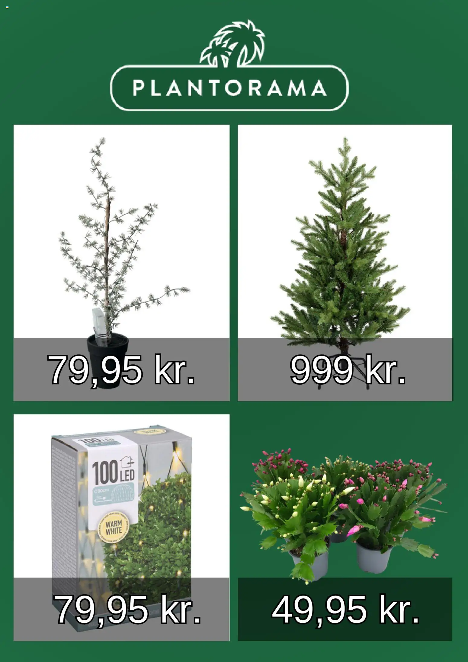 Plantorama tilbudsavis – gyldig fra 23.10.2025 | Side: 5