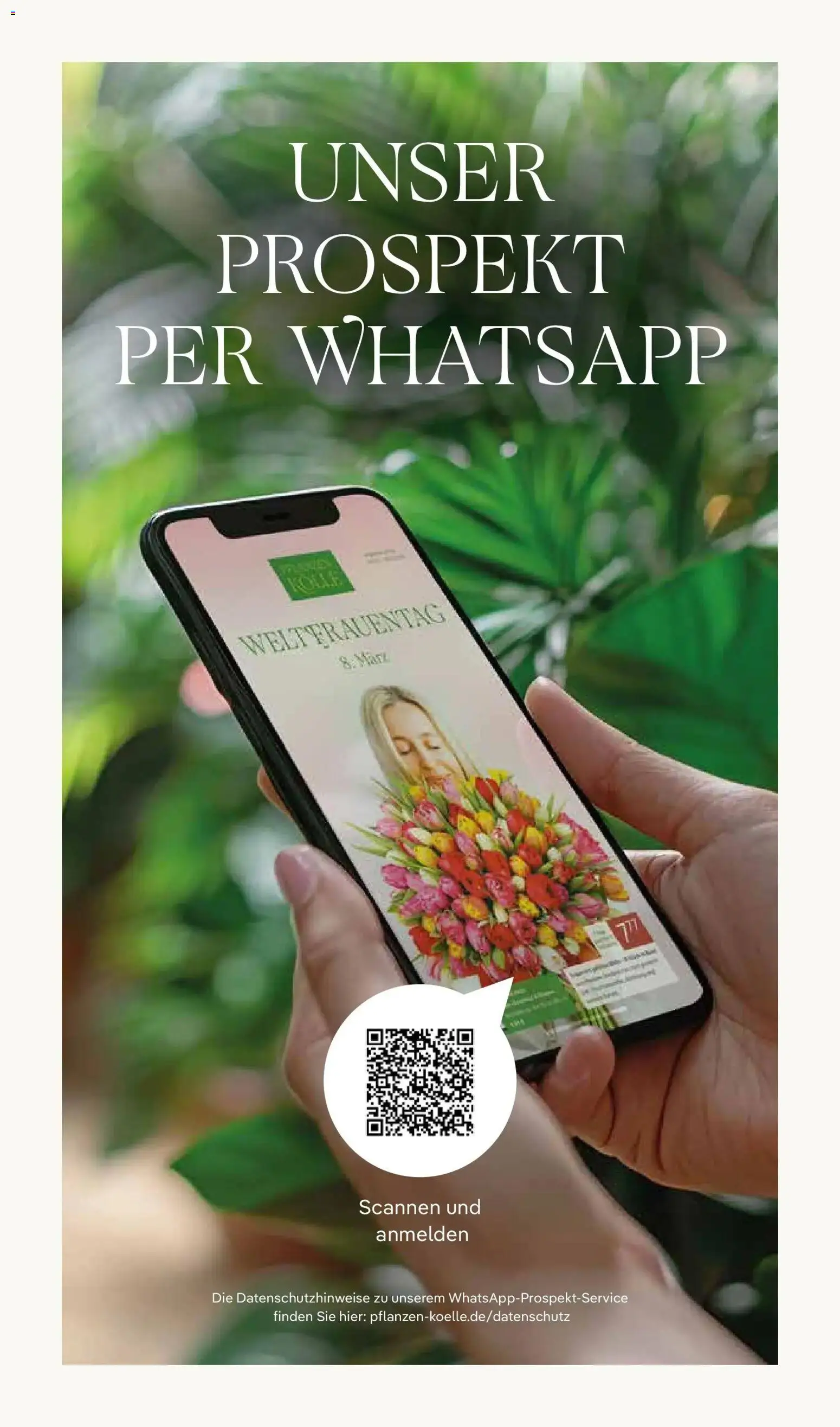 Pflanzen-Kölle - Pflanzen-Kölle: Weltfrauentag – gültig ab 02.03.2026 | Seite: 18