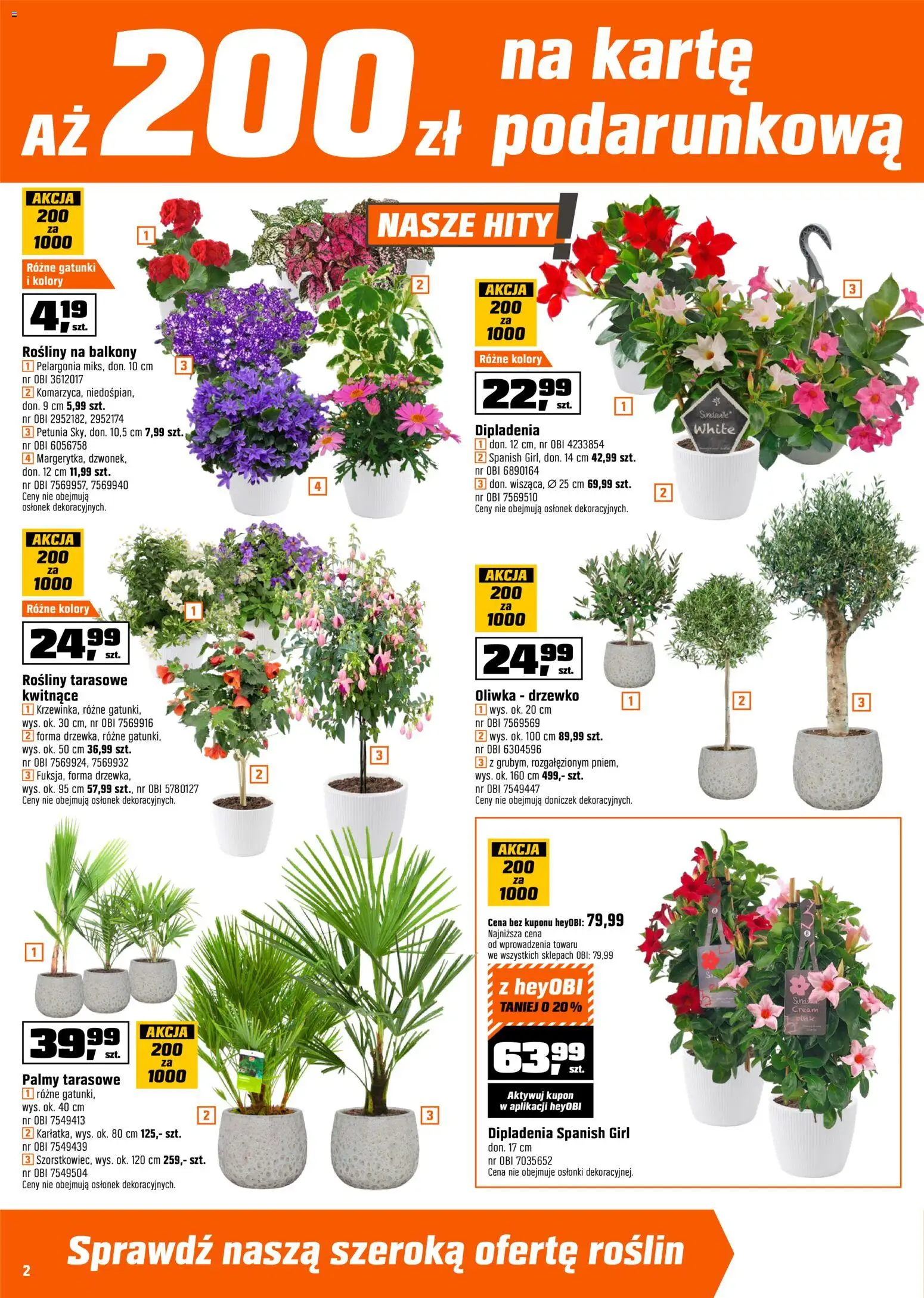 OBI gazetka od 22.04.2026 | Strona: 2 | Produkty: Rosliny