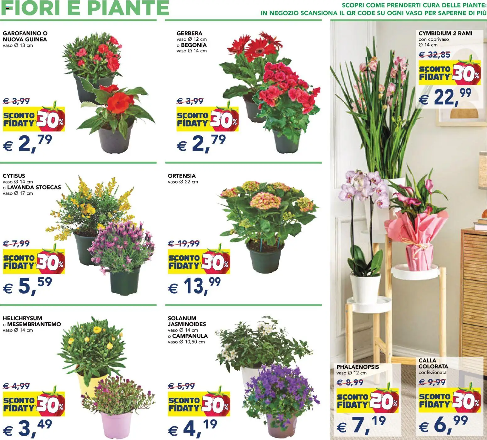 Volantino Esselunga S del 12.03.2026 | Pagina: 7 | Prodotti: Lavanda, Vaso