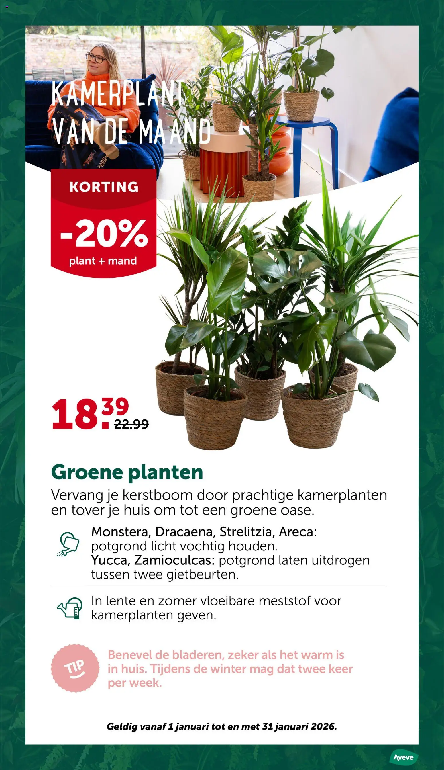 {H1} | Pagina: 12 | Producten: Kamerplanten, Mand