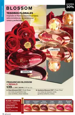 JAFRA folleto │ válido desde el 01.07.2025 | Página: 18 | Productos: Manzana