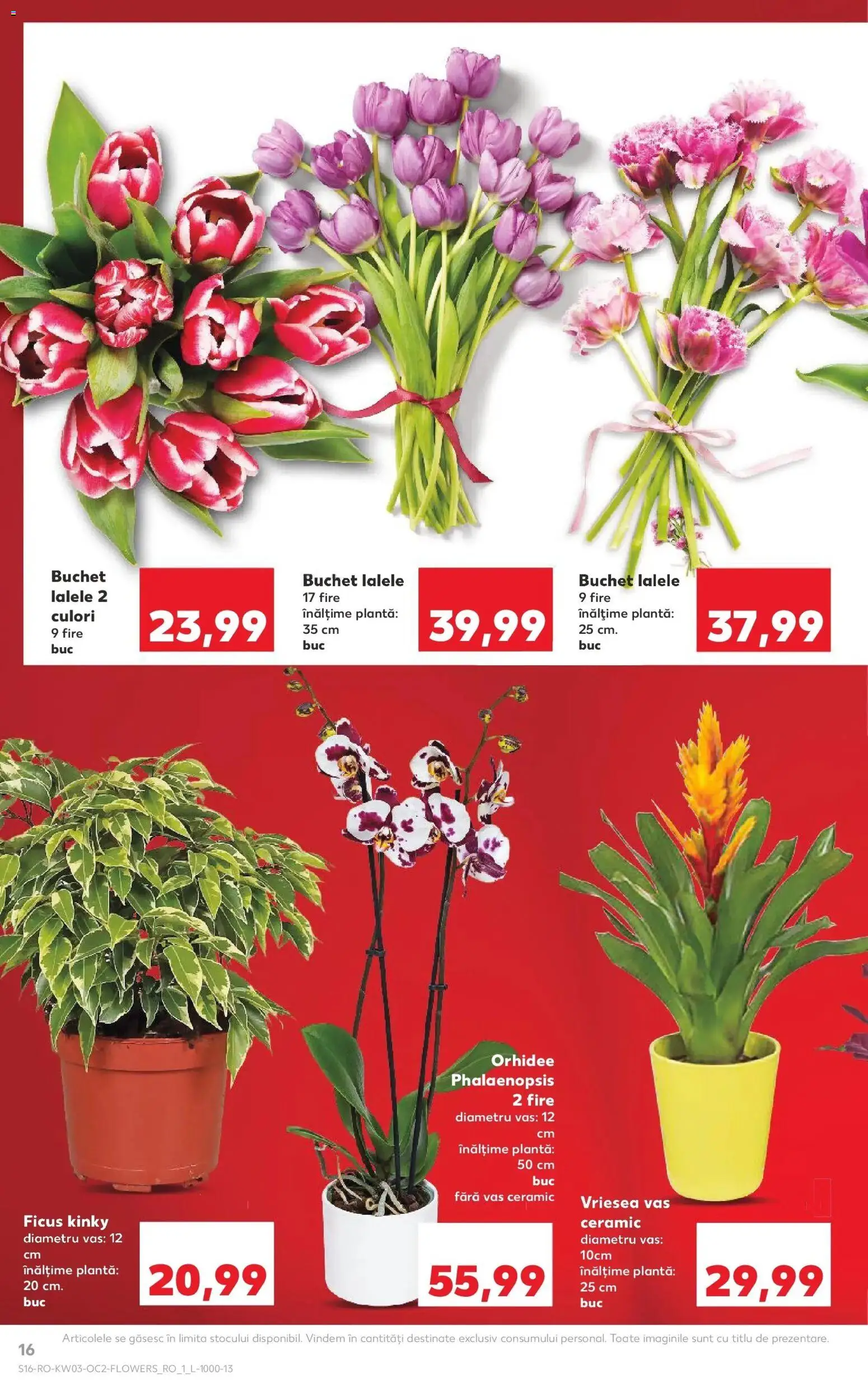 Noul catalog Kaufland – valabil de la 14.01.2026 | Pagină: 16 | Produse: Orhidee