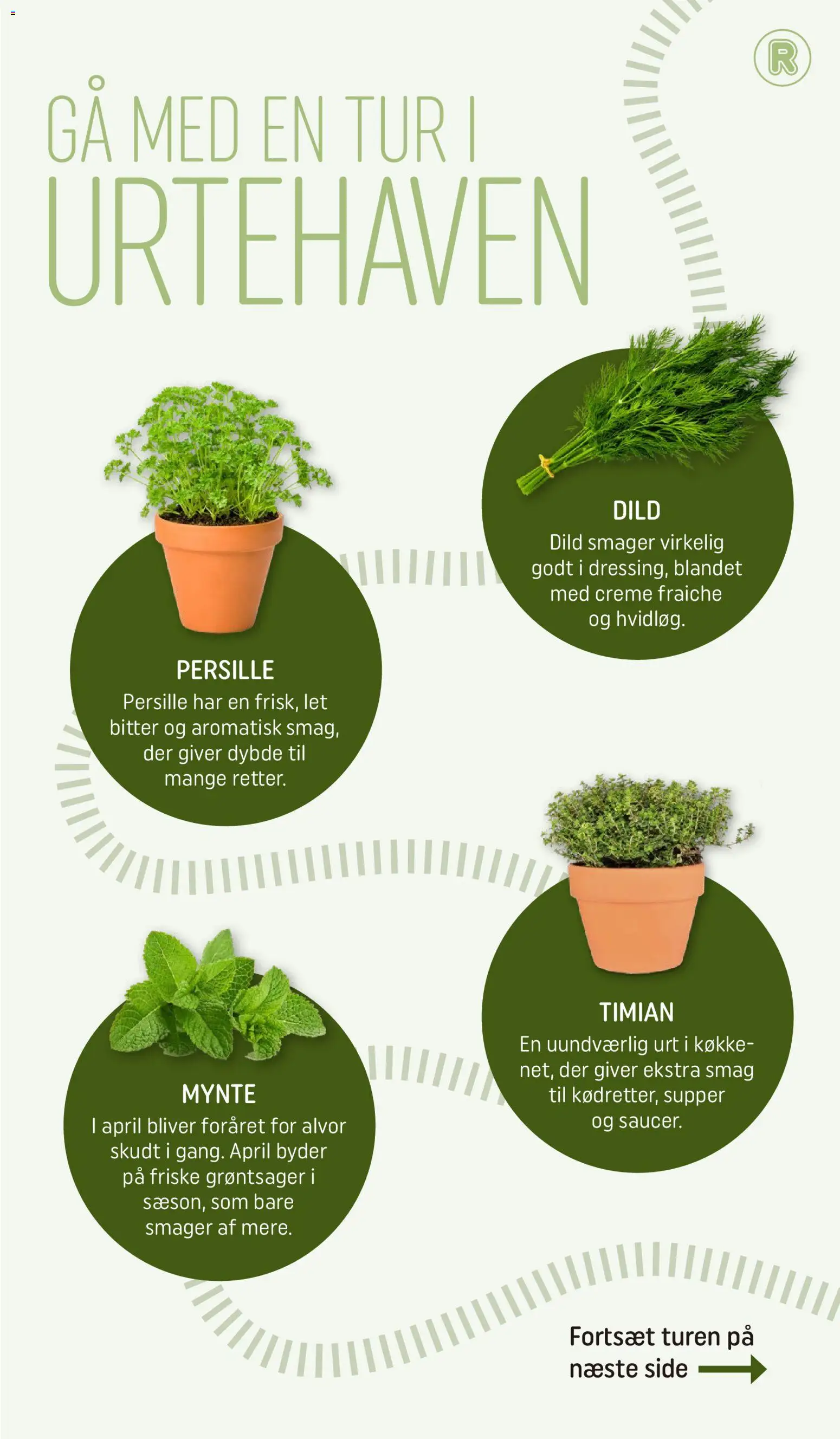 Rema 1000 tilbudsavis – gyldig fra 31.03.2026 | Side: 5 | Produkter: Creme, Dild, Mynte, Timian