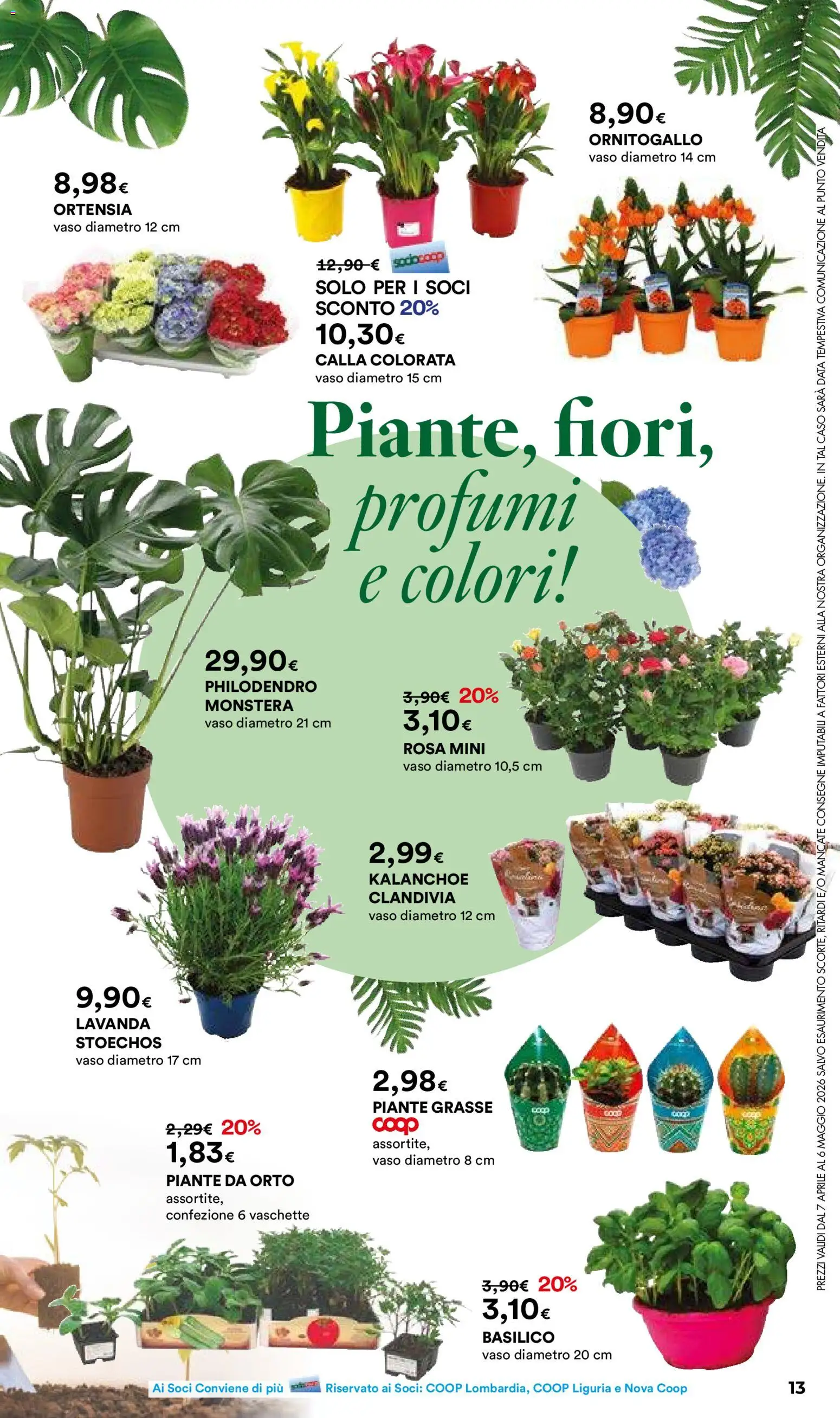 Volantino Ipercoop del 07.04.2026 | Pagina: 13 | Prodotti: Data, Lavanda, Vaschette, Vaso