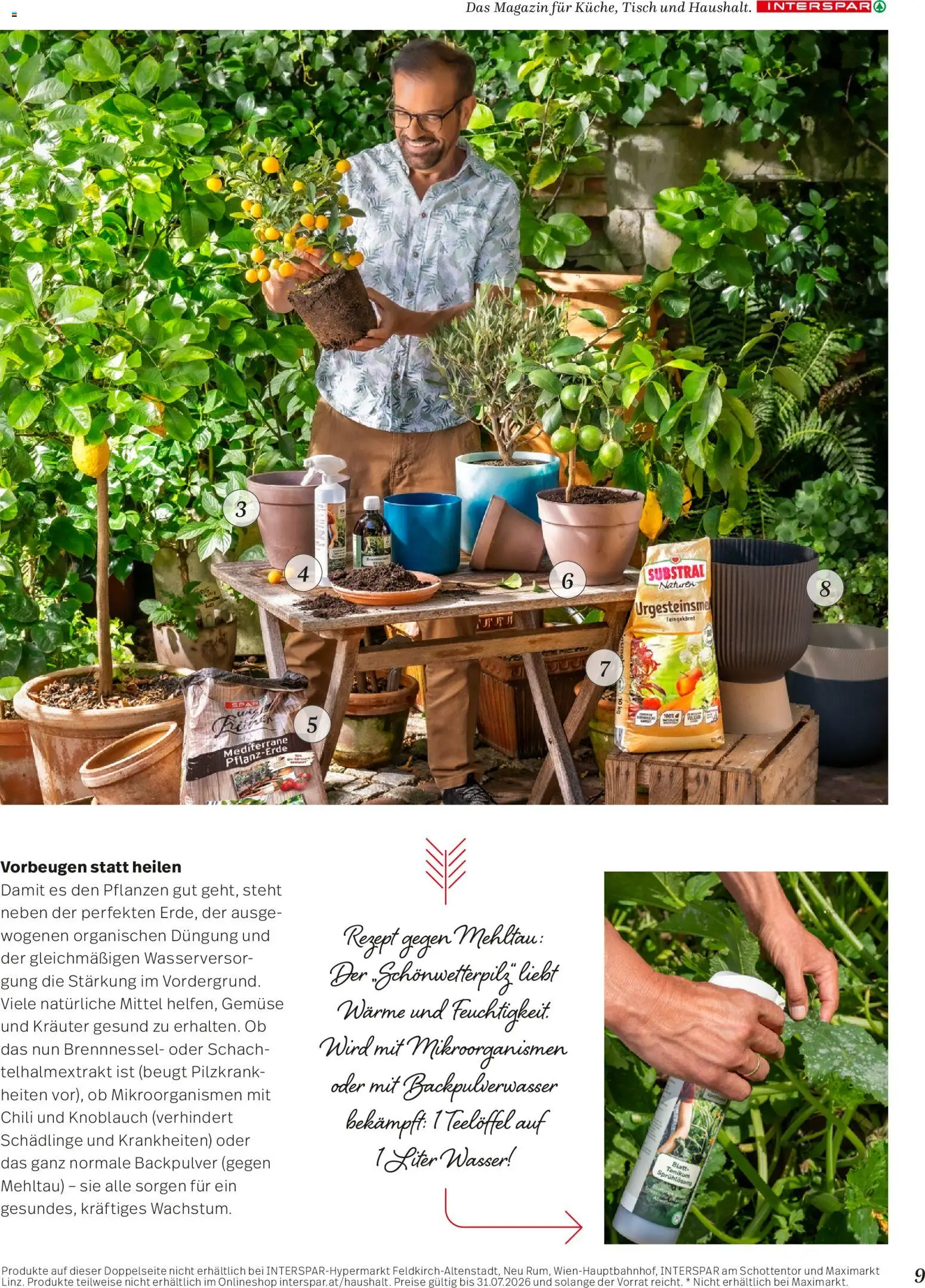 Maximarktr Mein Zuhause Magazin gültig ab 07.04.2026 | Seite: 9 | Produkte: Wasser, Gemüse, Knoblauch, Chili