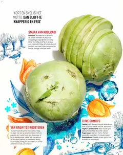 Koolrabi, Koolrabi is knapperig en fris en kan rauw of geroosterd gegeten worden. - Voorbeeld van een folder van Albert Heijn, geldig van 20.03.2026 | Pagina: 30 | Producten: Yoghurt, Kan, Kész piskótalap, Crème