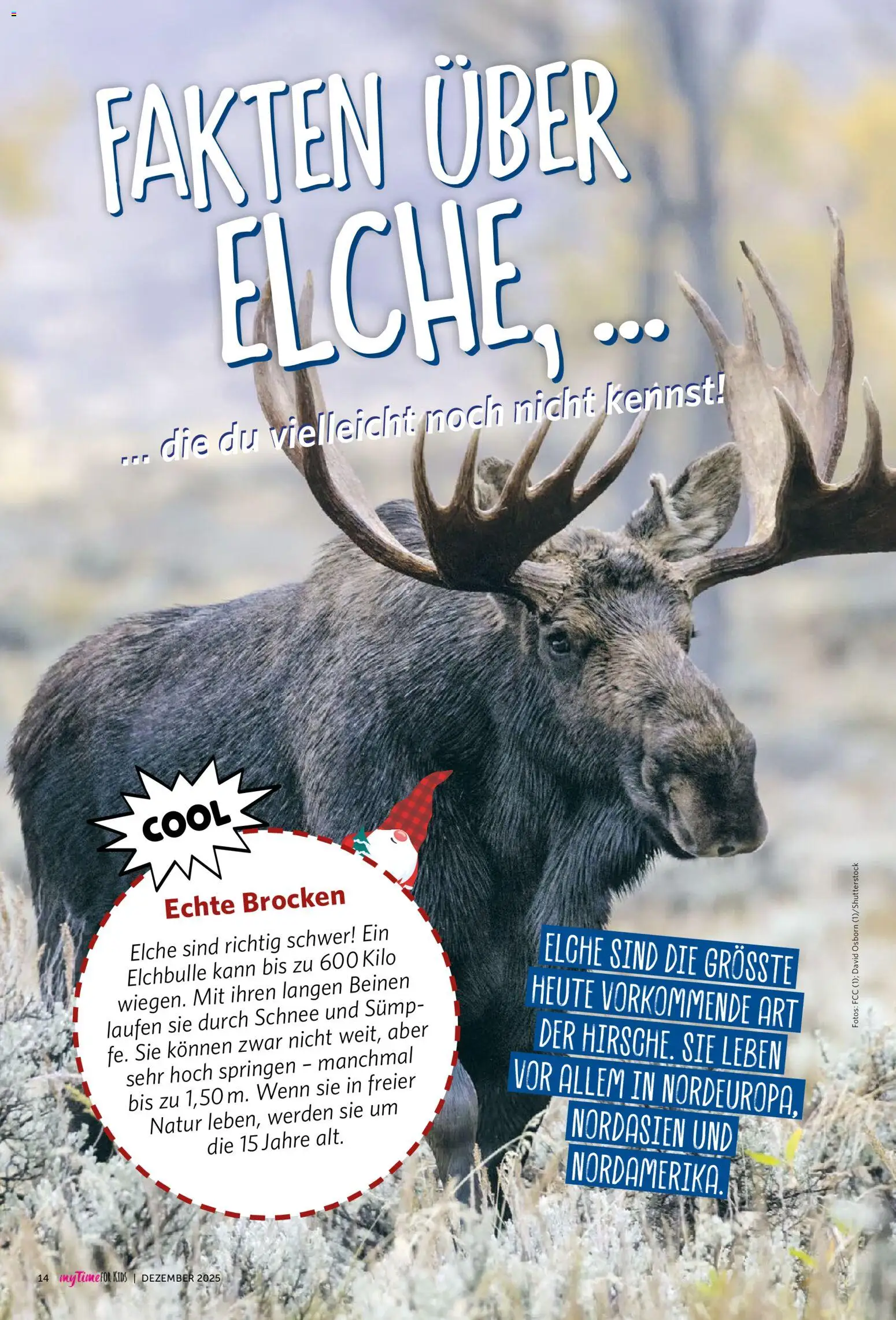 Combi  myTime Dezember 2025 – gültig ab 01.12.2025 | Seite: 98