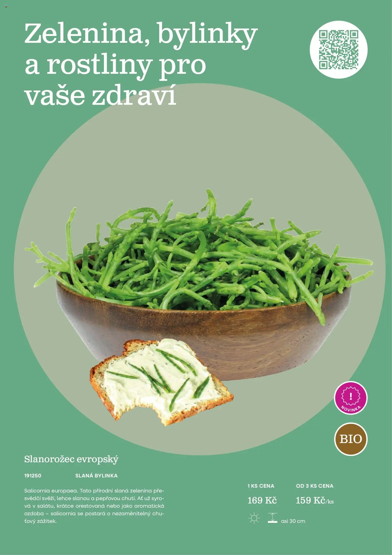 Starkl katalog Jaro 2026 od 25.02.2026 | Strana: 29 | Produkty: Zelenina, Rostliny