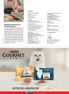 Penny Markt So Schmeckt's - Frühling 2026 ab 01.03.2026 gültig | Seite: 53