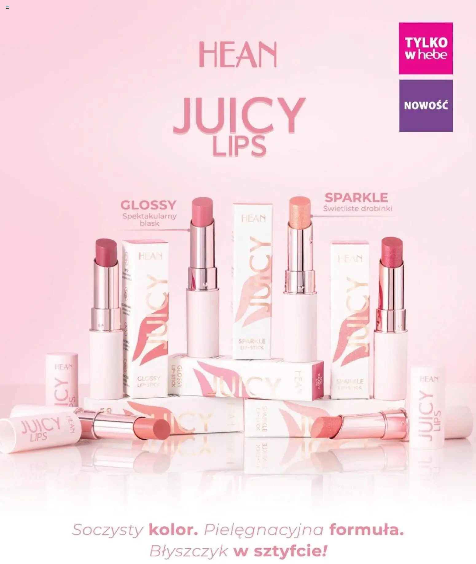 Hebe Gazetka - Magazyn od 01.01.2026 | Strona: 17