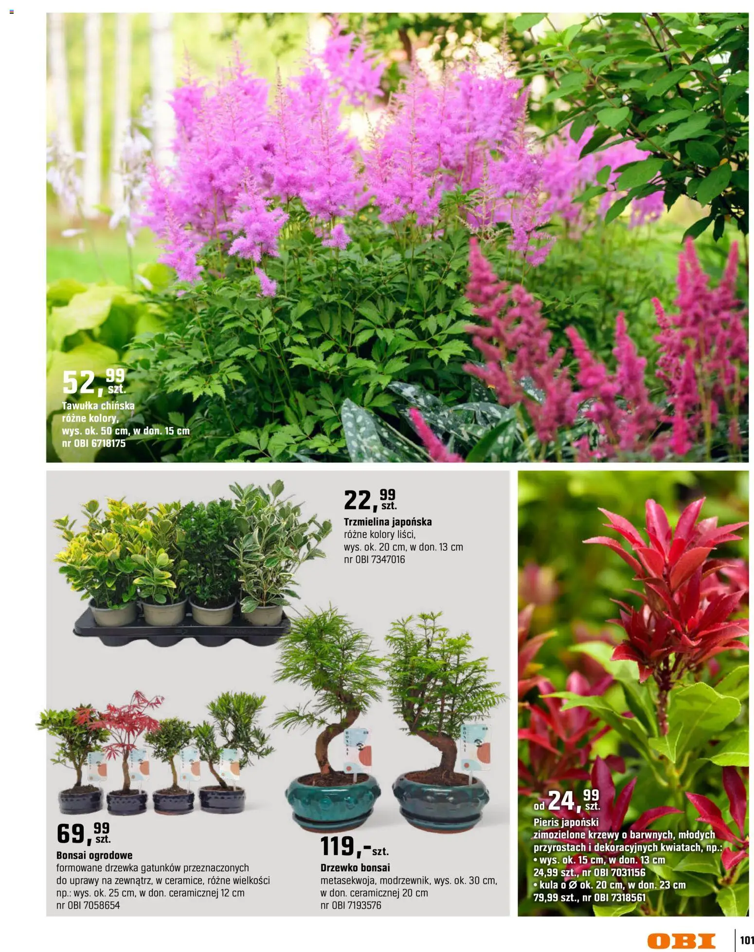 OBI gazetka - Ogród od 11.03.2026 | Strona: 101 | Produkty: Drzewko Bonsai