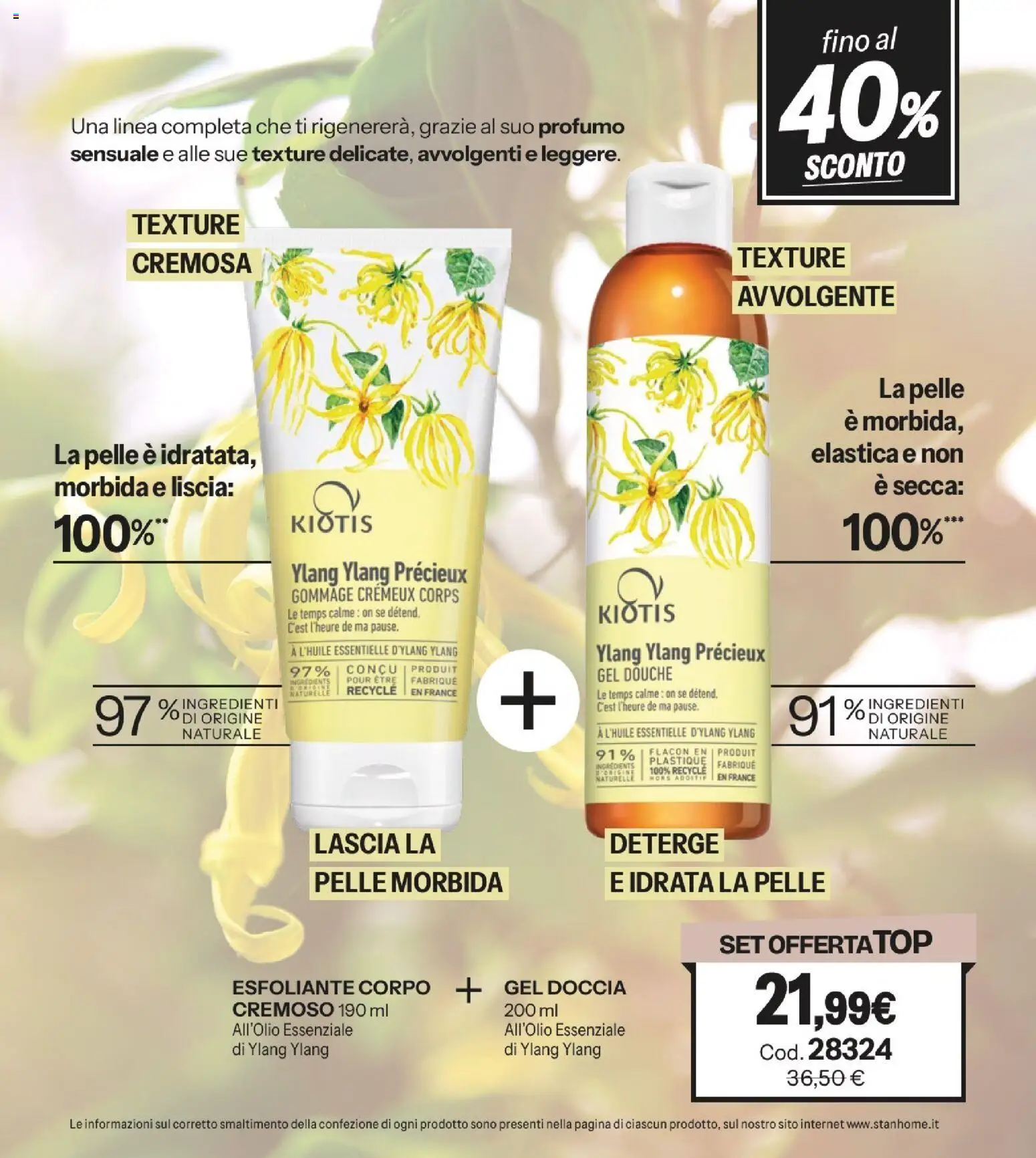 Volantino Stanhome del 17.02.2026 | Pagina: 31 | Prodotti: Spazzola, Olio, Lavanda, Profumo