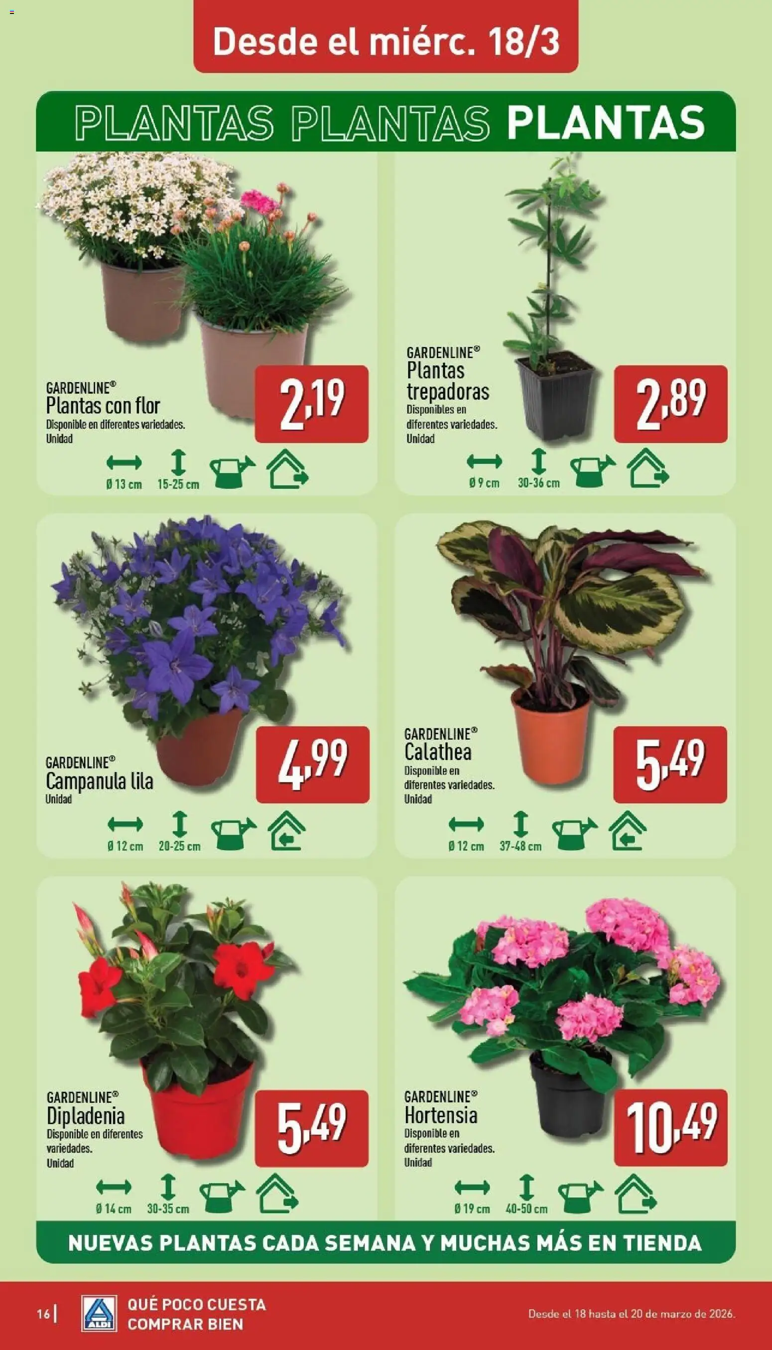 Aldi folleto Baleares │ válido desde el 16.03.2026 | Página: 16