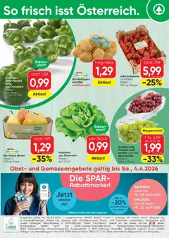 Spar - Flugblatt ab 31.03.2026 gültig | Seite: 20