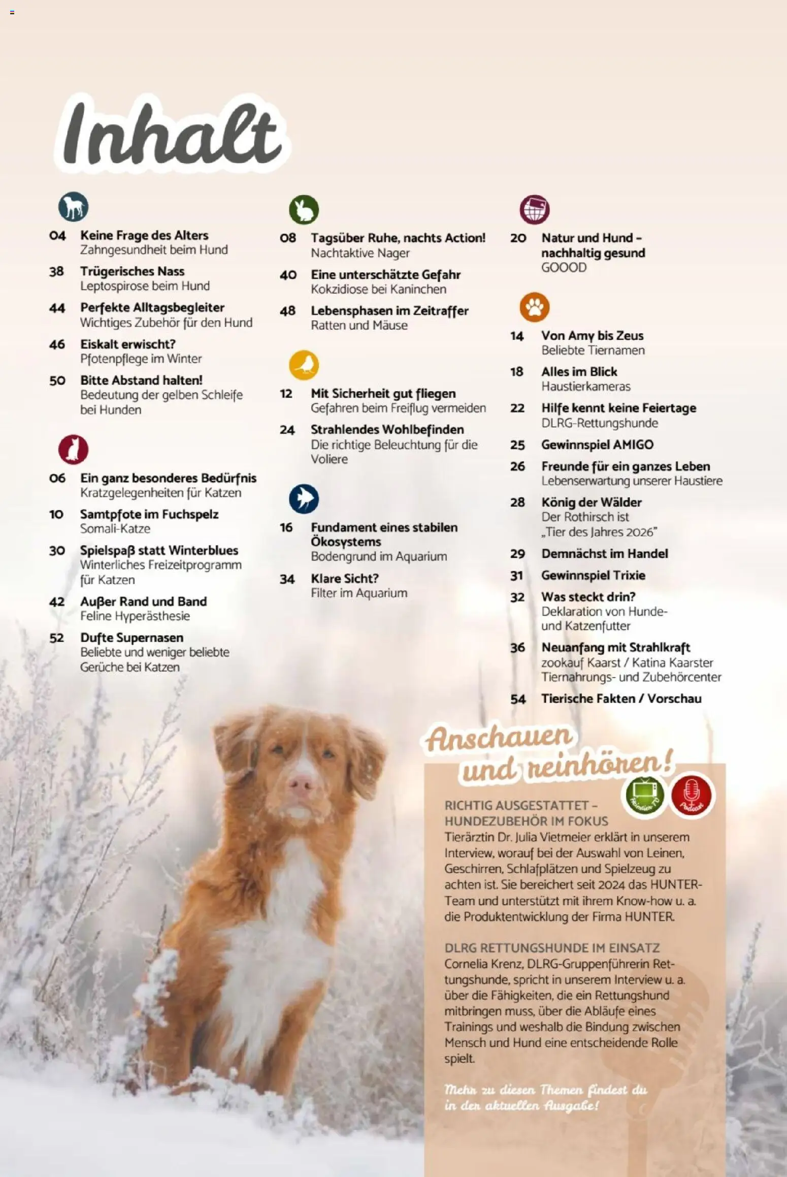 zookauf  Heimtier Journal – gültig ab 01.02.2026 | Seite: 3 | Produkte: Katzenfutter, Kaninchen