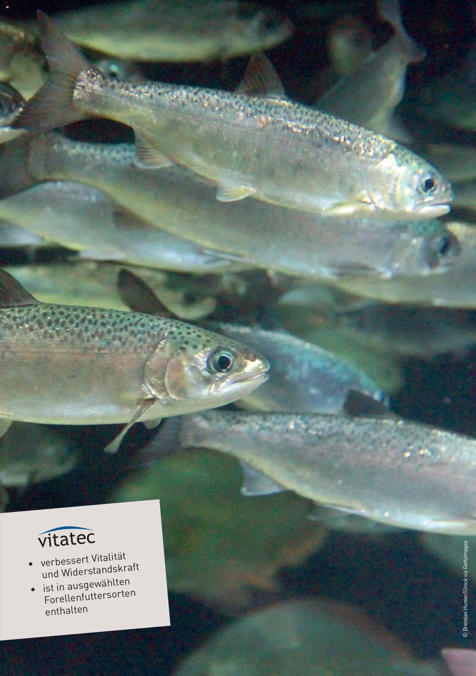 Lagerhaus Fischfutter gültig ab 01.03.2026 | Seite: 6