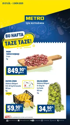 25.09.2025 tarihinden itibaren geçerli olan Metro kataloğu önizlemesi