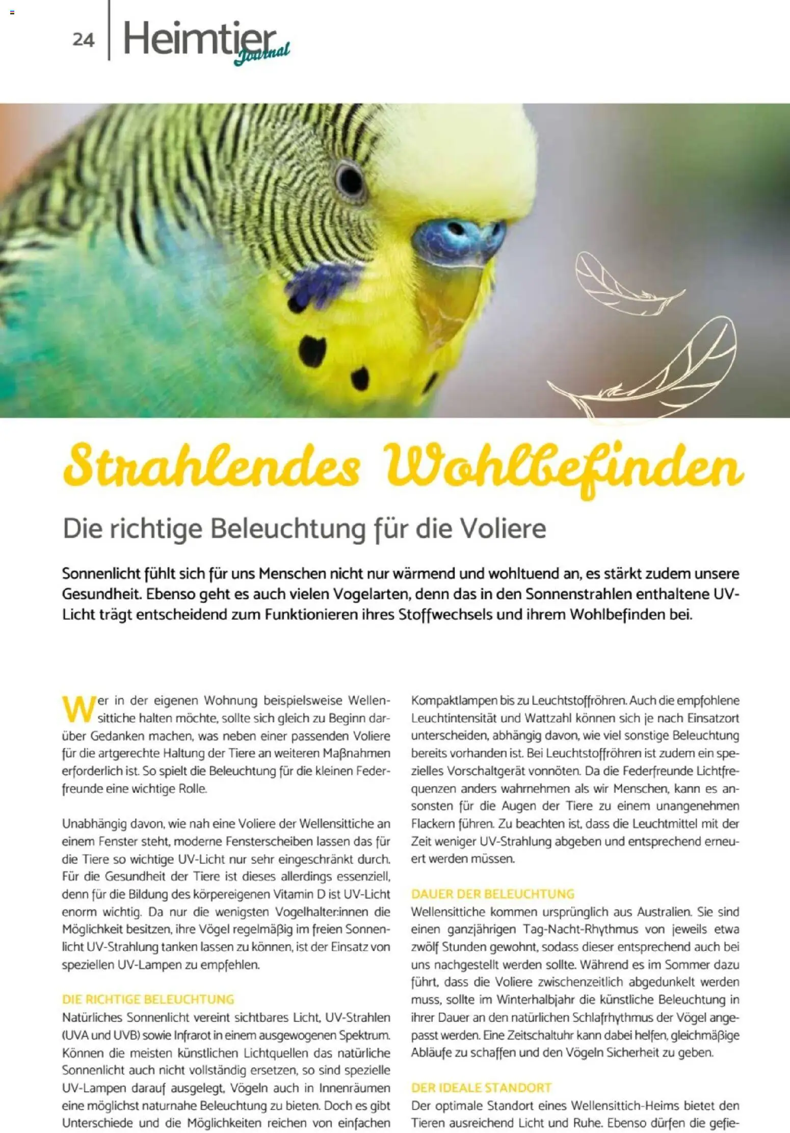 zookauf  Heimtier Journal – gültig ab 01.02.2026 | Seite: 24