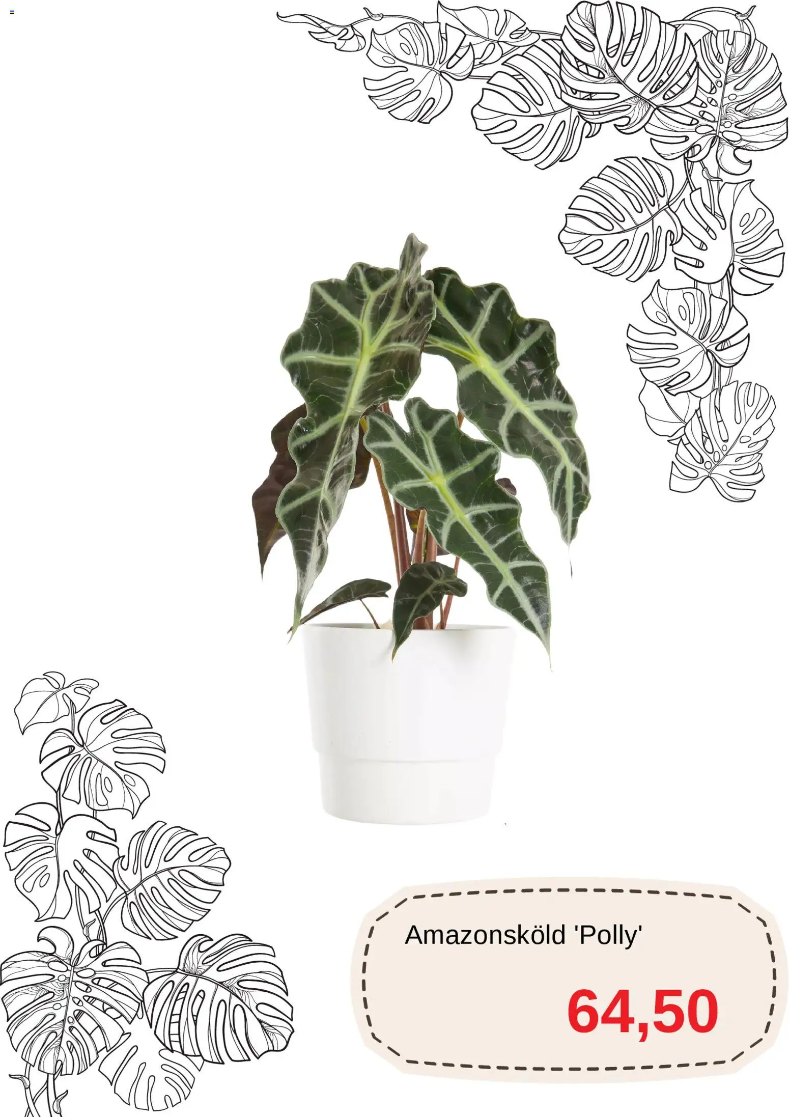 Blomsterlandet reklamblad aktuell från 11.03.2026 | Sida: 4