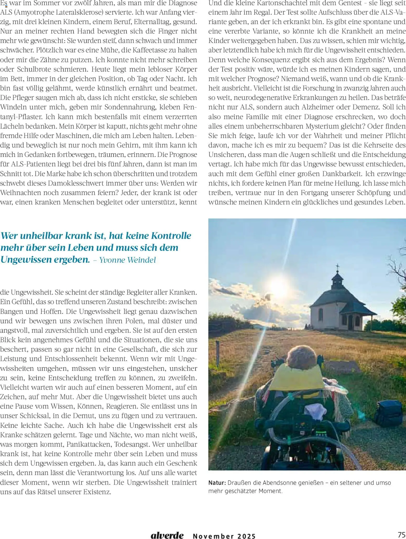 dm drogerie Prospekt 	 – gültig ab 01.11.2025 | Seite: 75