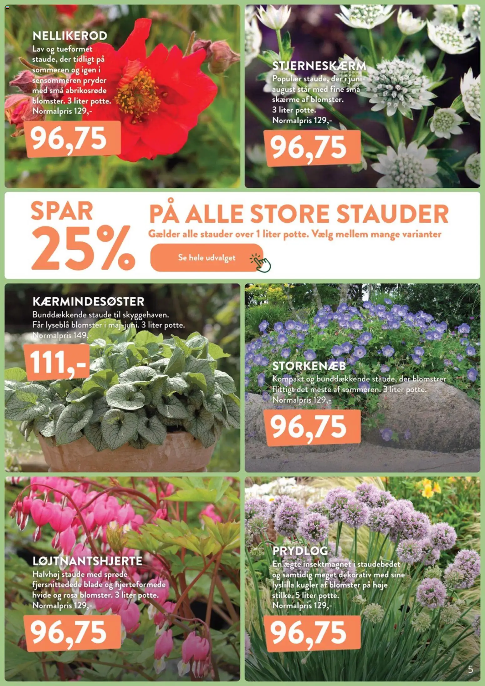 Plantorama tilbudsavis – gyldig fra 24.04.2026 | Side: 5 | Produkter: Skærme