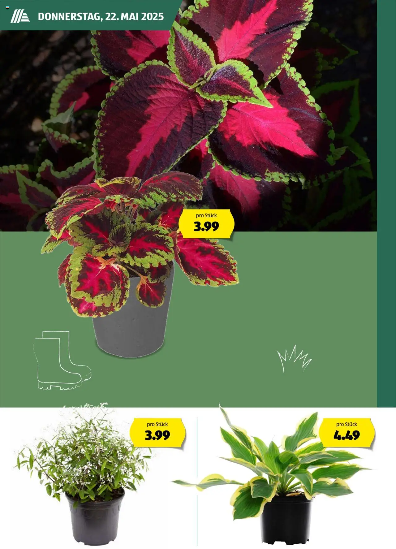 Aldi Aktuelle Garten Sortiment ab 12.05.2025 | Seite: 6