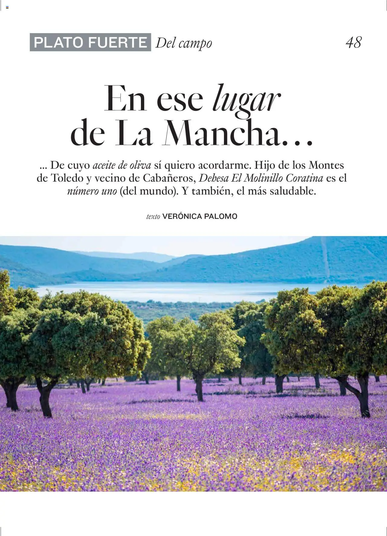 El Corte Inglés ofertas │ válido desde el 01.04.2025 | Página: 48 | Productos: Aceite, Aceite de oliva