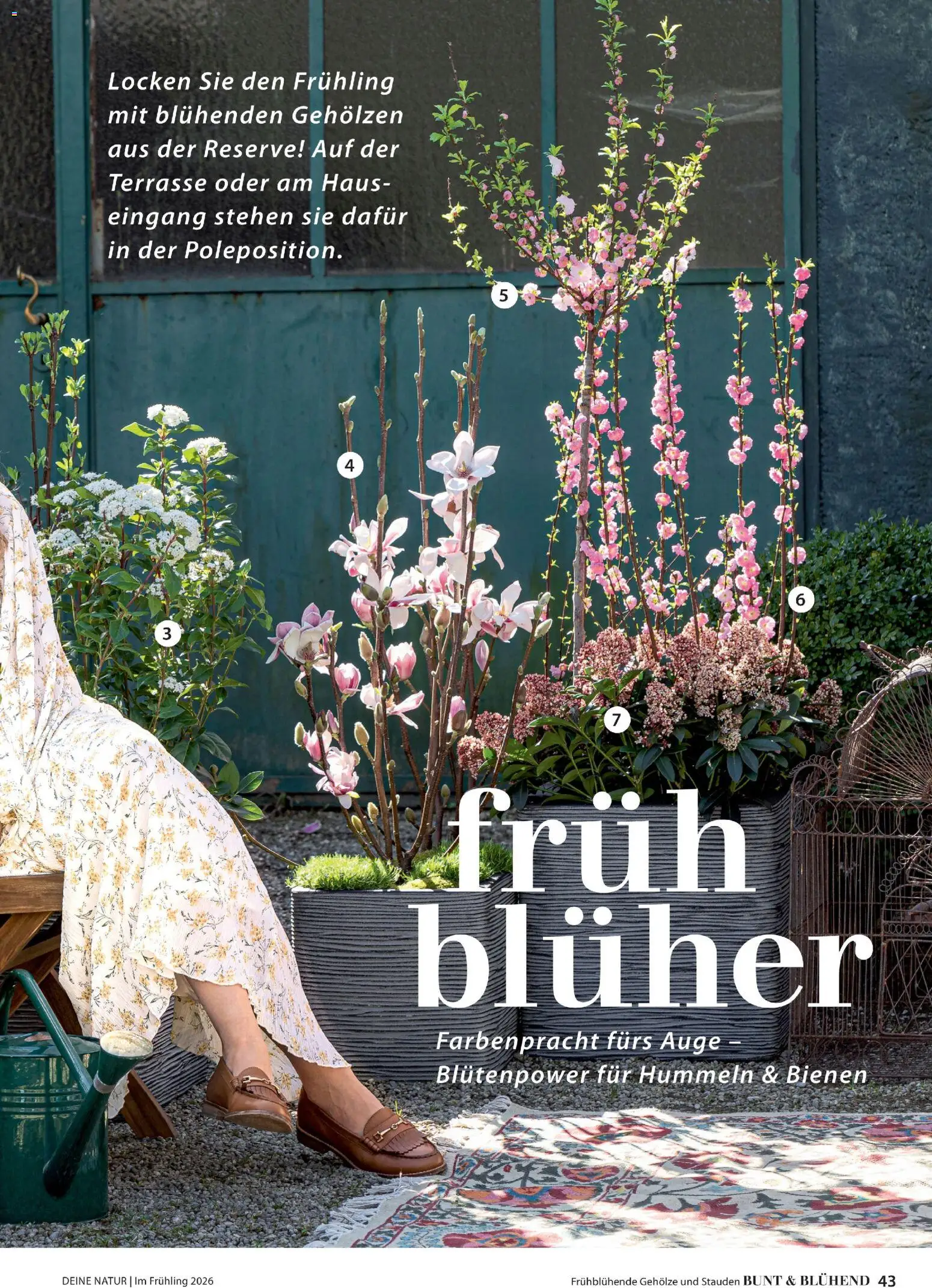 Dehner Flugblatt gültig ab 05.03.2026 | Seite: 43