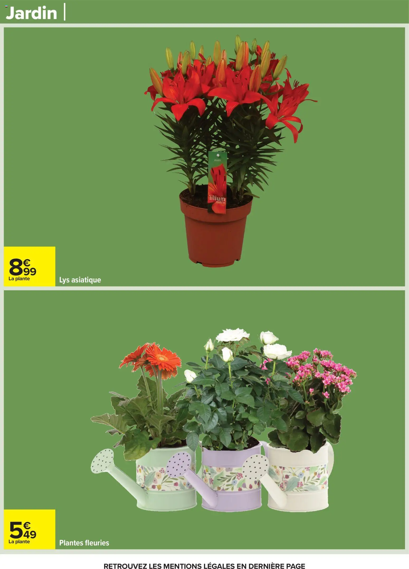 {H1} | Page: 65 | Produits: Plantes