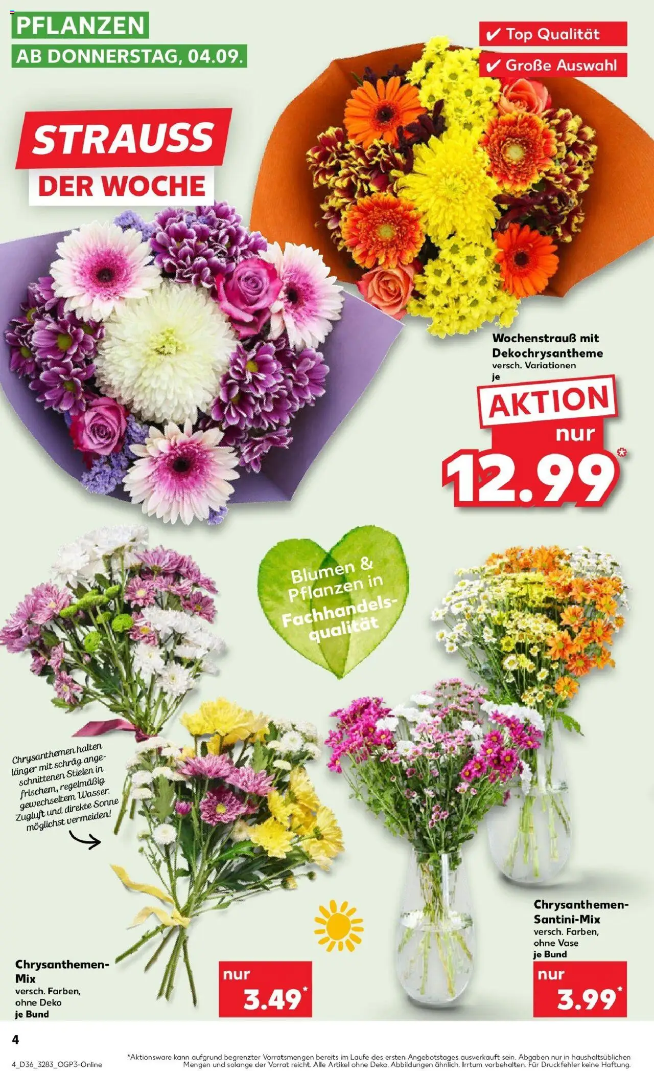 Kaufland prospekt Sonneberg	 – gültig ab 04.09.2025 | Seite: 4 | Produkte: Top, Blumen, Vase
