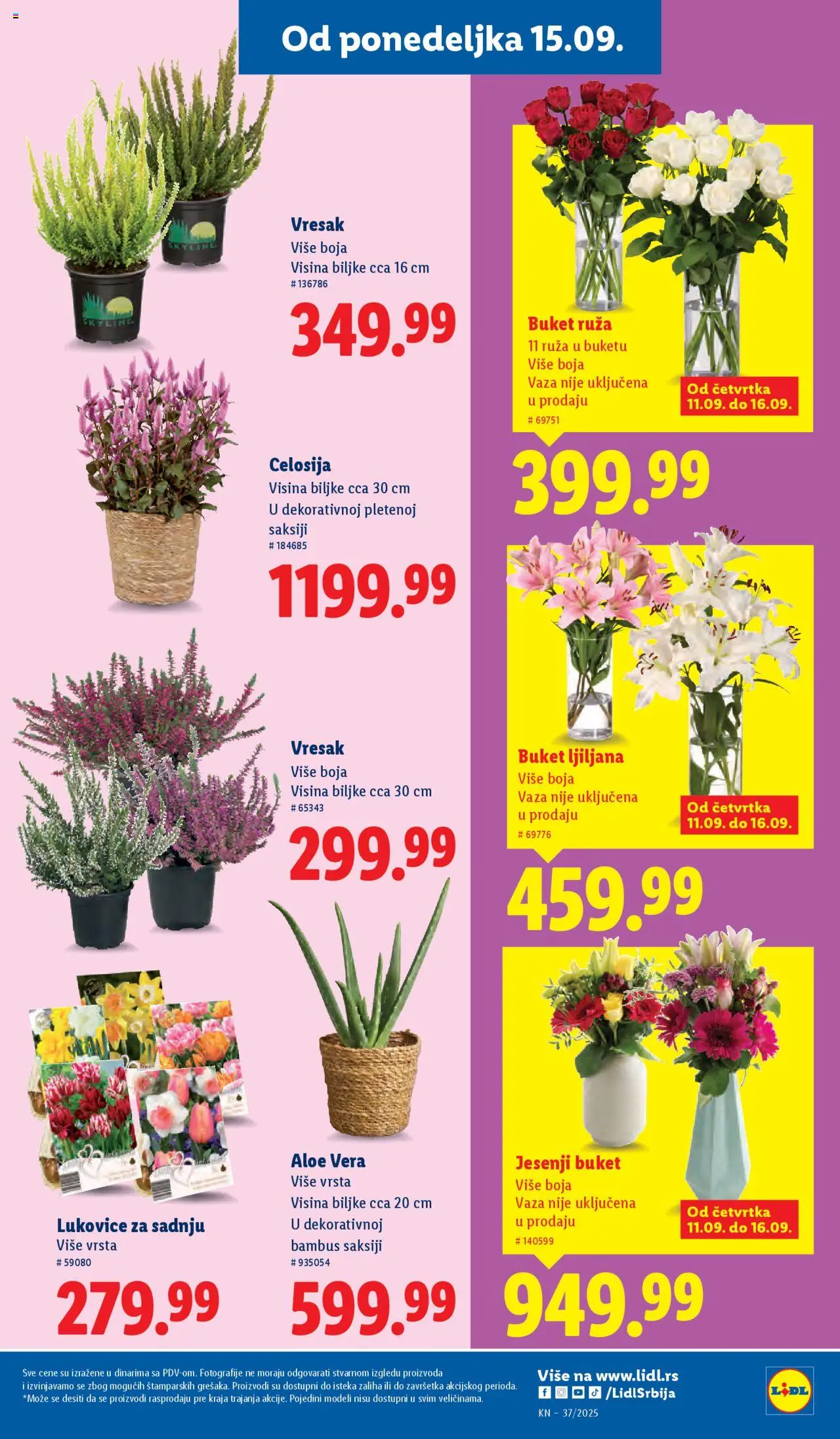 Lidl katalog - važi od 11.09.2025 | Strana: 25 | Proizvode: Vaza